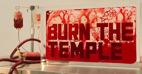 «Это как кровавое караоке»: Художник предложил посетителям сдать кровь для его инсталляции В бельгийском